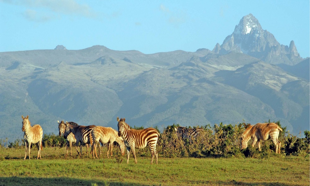 Mount Kenya Tour