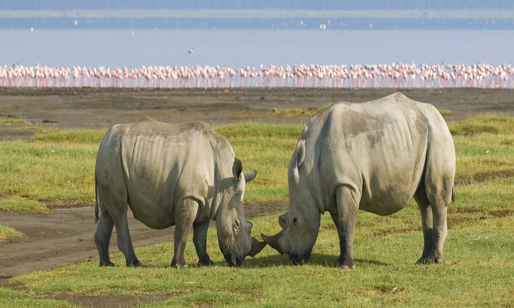 Nakuru Park